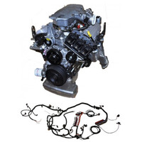 Wiring Harness Conversion for Holden VS, VT, VX & VY V6 (Ecotec) Engines